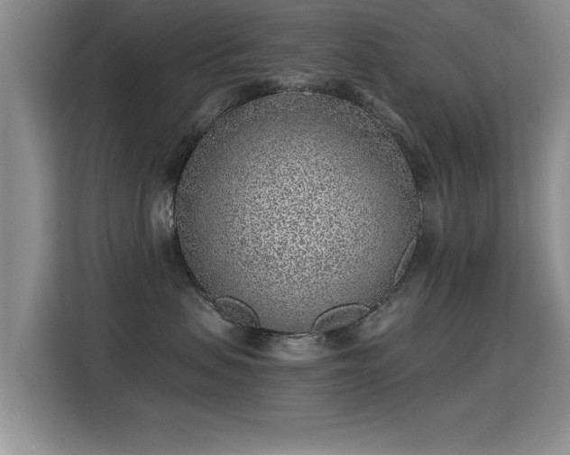 X0000115380479200911101310