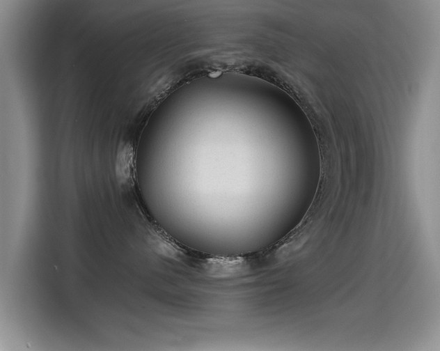 X0000115380480200911101310
