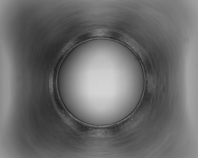 X0000115380482200911101309