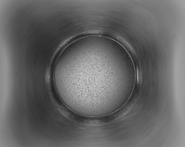 X0000115380483200911101309