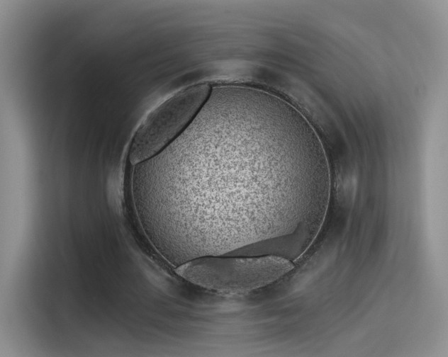 X0000115380484200911101309