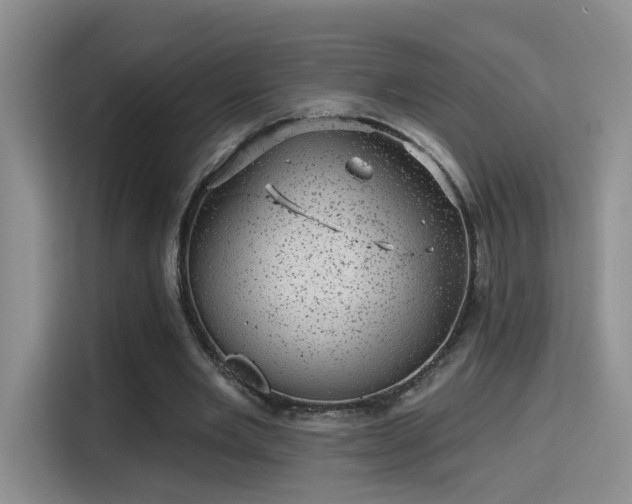 X0000115380485200911101309