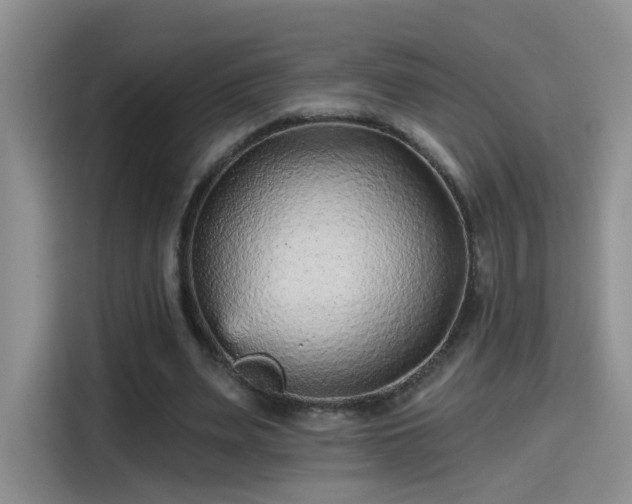 X0000115380487200911101309