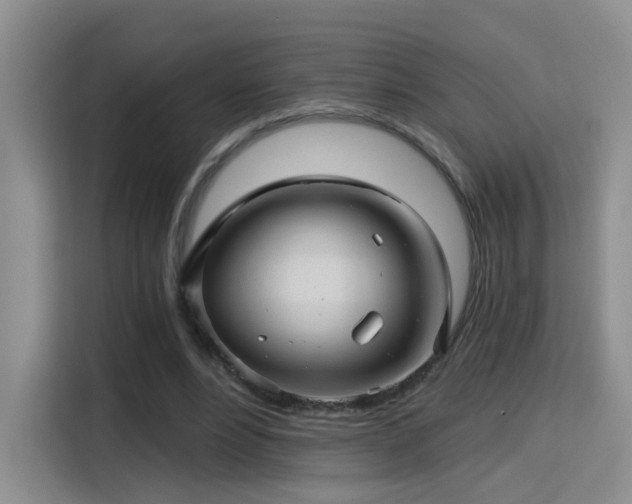 X0000115380488200911101309