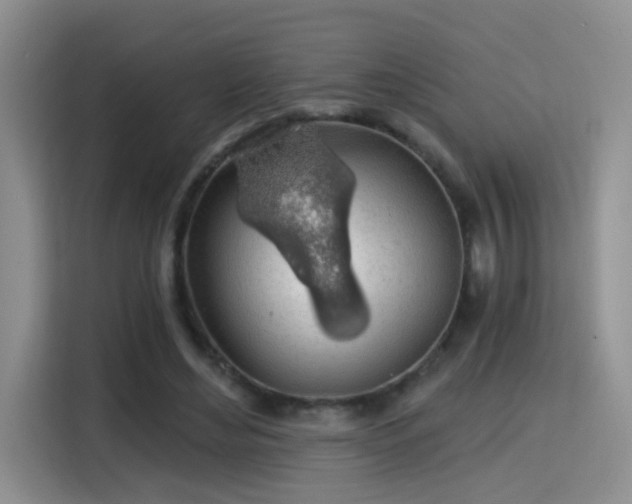 X0000115380492200911101309