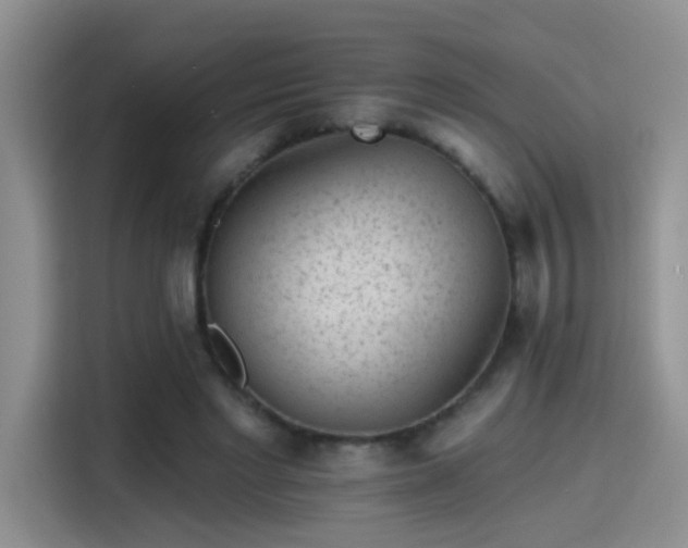 X0000115380493200911101309