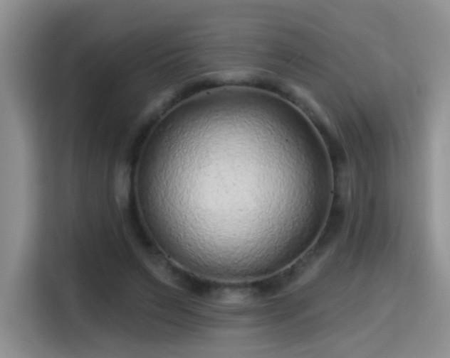X0000115380495200911101309