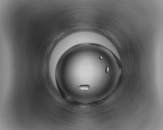 X0000115380496200911101309