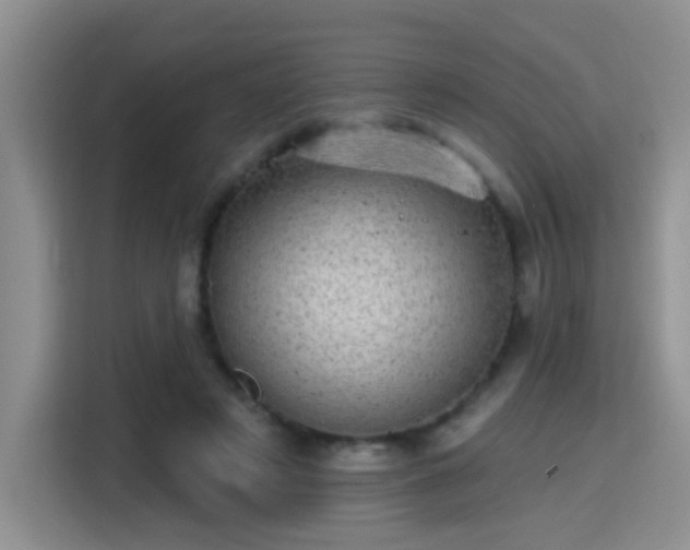 X0000115380497200911101309