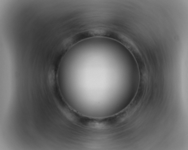 X0000115380498200911101309