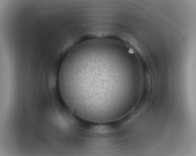 X0000115380499200911101309