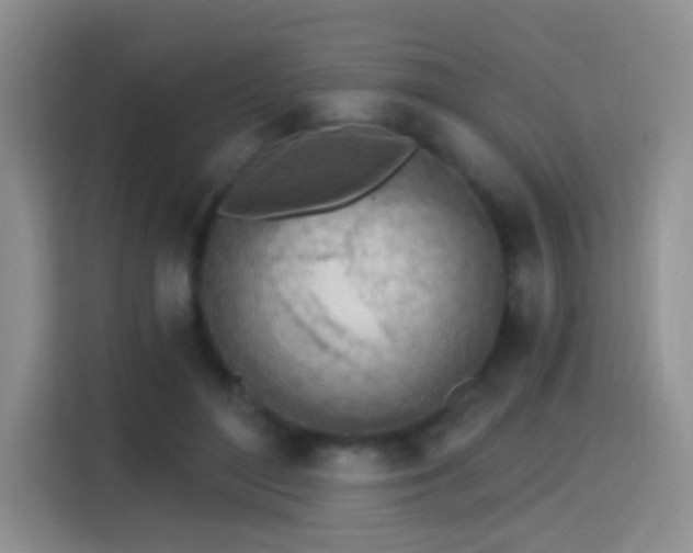 X0000115380500200911101309
