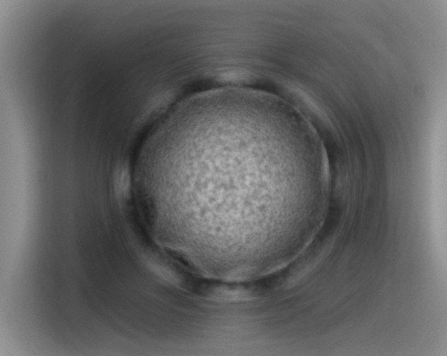 X0000115380502200911101309