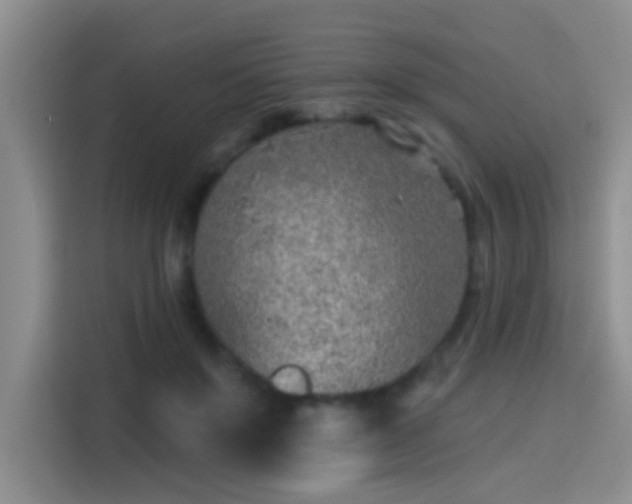 X0000115380503200911101309