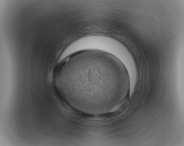 X0000115380504200911101309