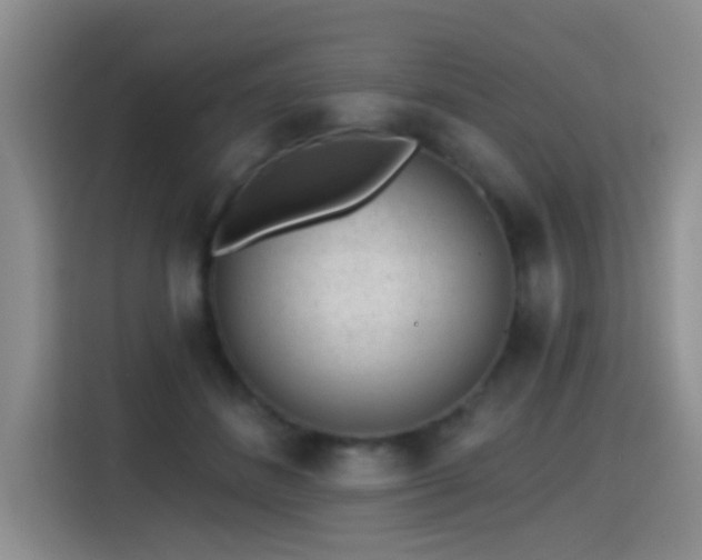 X0000115380508200911101309