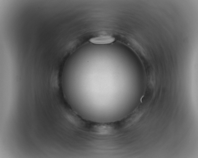 X0000115380512200911101309