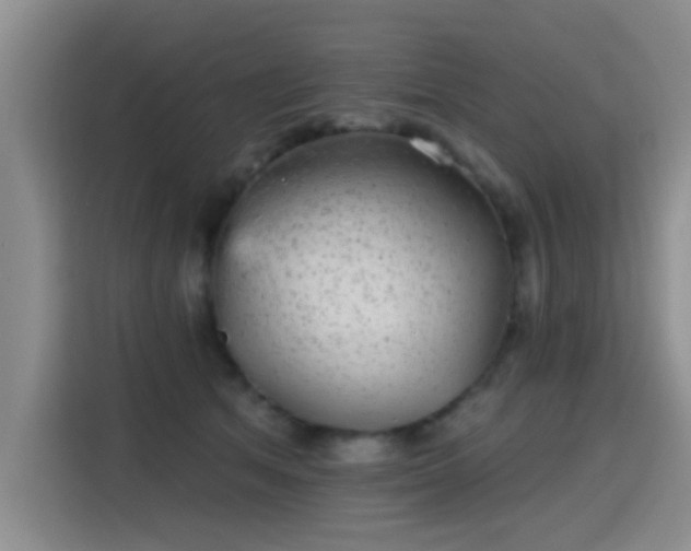 X0000115380513200911101309