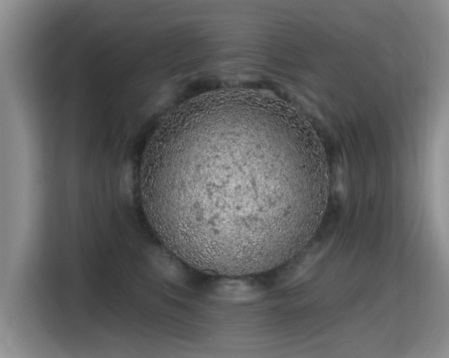 X0000115380519200911101309