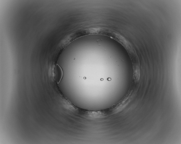 X0000115380525200911101309
