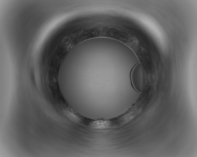 X0000115380526200911101309