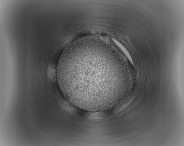 X0000115380527200911101309