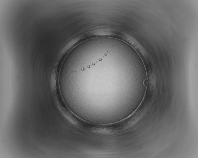 X0000115380533200911101308