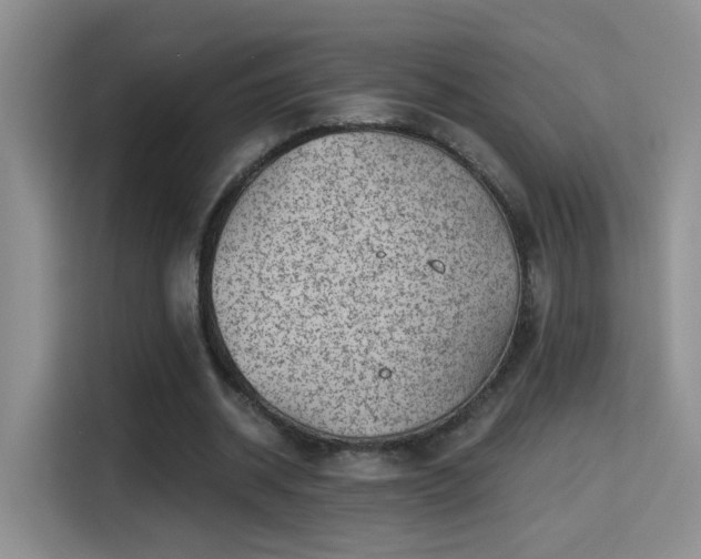 X0000115380534200911101308