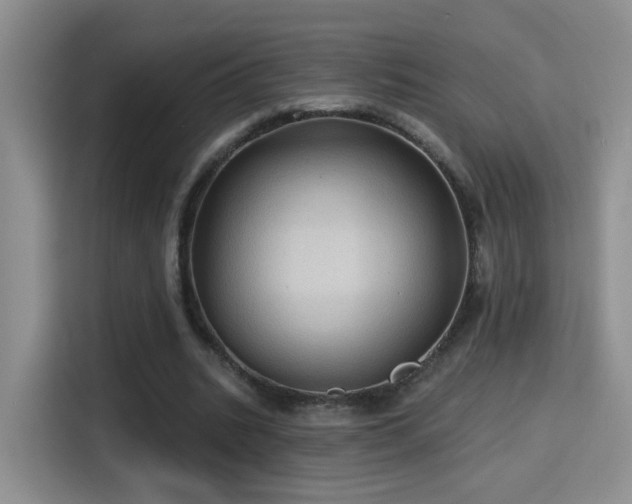 X0000115380535200911101308