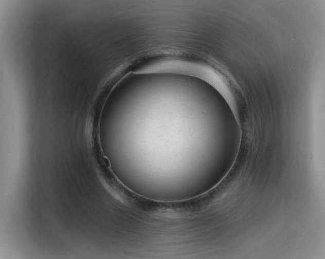 X0000115380538200911101308