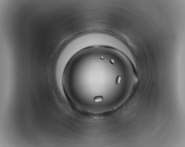 X0000115380543200911101308