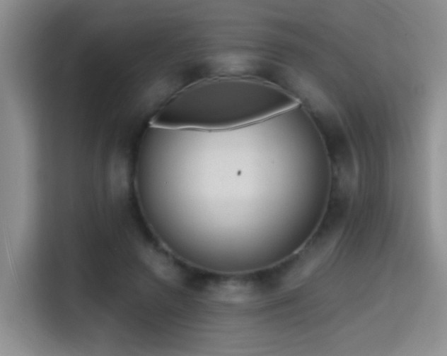 X0000115380546200911101308