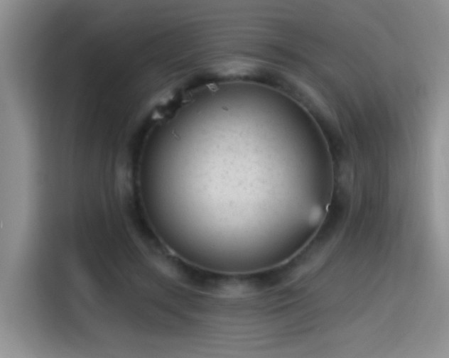 X0000115380547200911101308