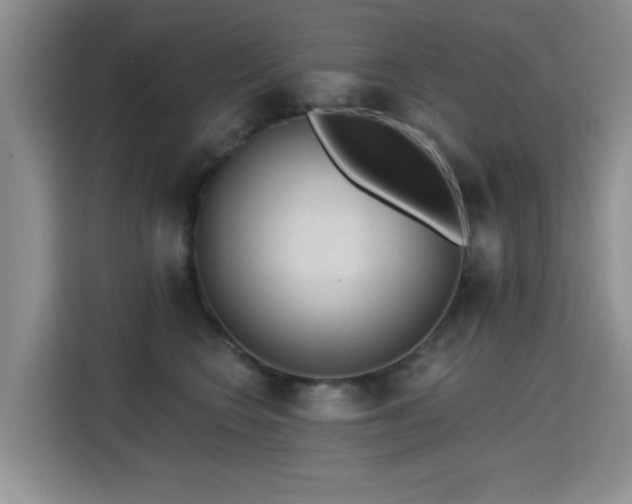 X0000115380566200911101309