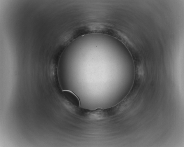 X0000115380567200911101309