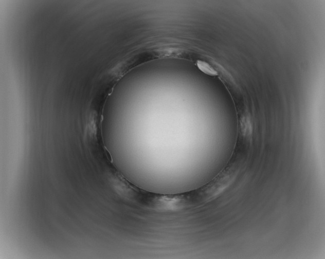 X0000115380570200911101309