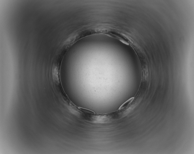 X0000115380575200911101309