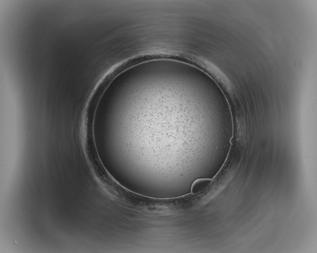X0000115380580200911101308
