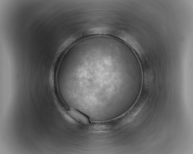 X0000115380581200911101308