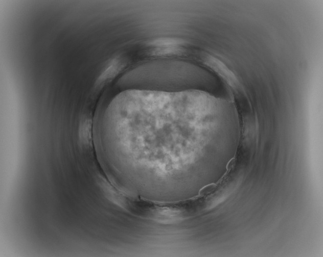 X0000115380585200911101308
