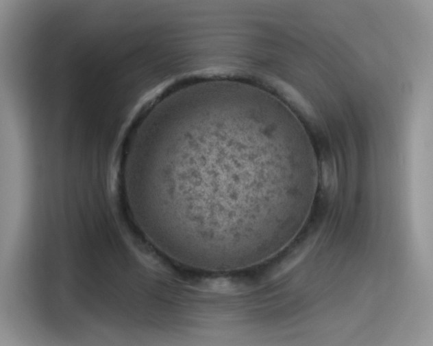 X0000115380588200911101308