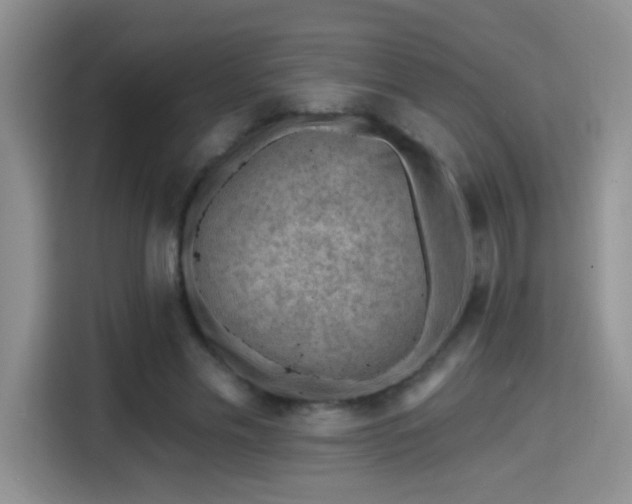 X0000115380589200911101308
