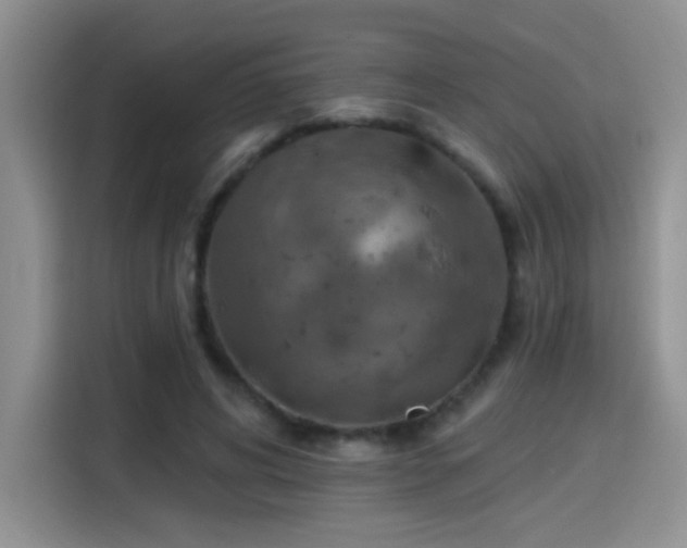 X0000115380592200911101308