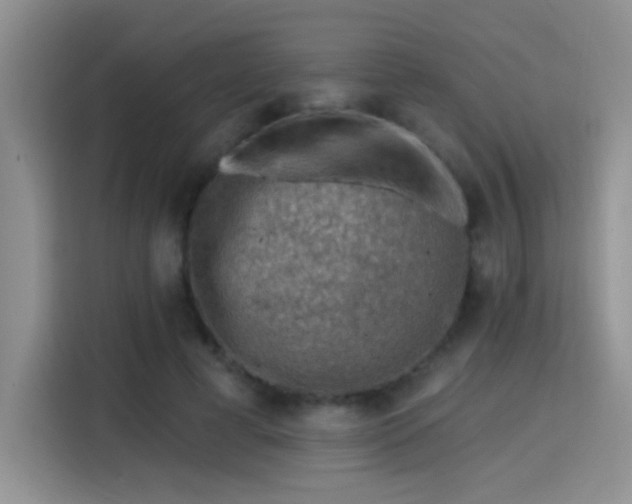X0000115380593200911101308