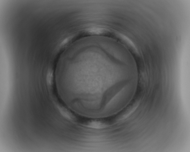 X0000115380596200911101308