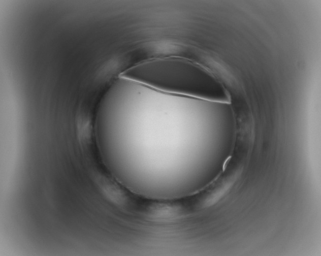 X0000115380597200911101308