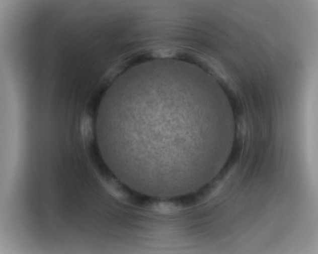 X0000115380598200911101308