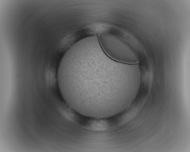 X0000115380599200911101308