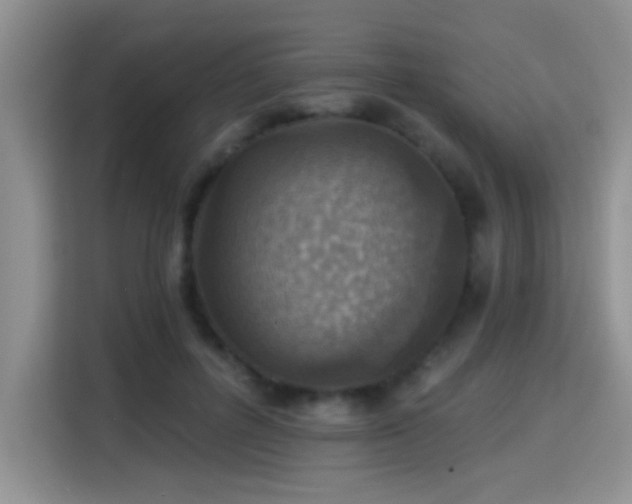 X0000115380600200911101308