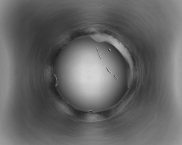X0000115380605200911101308